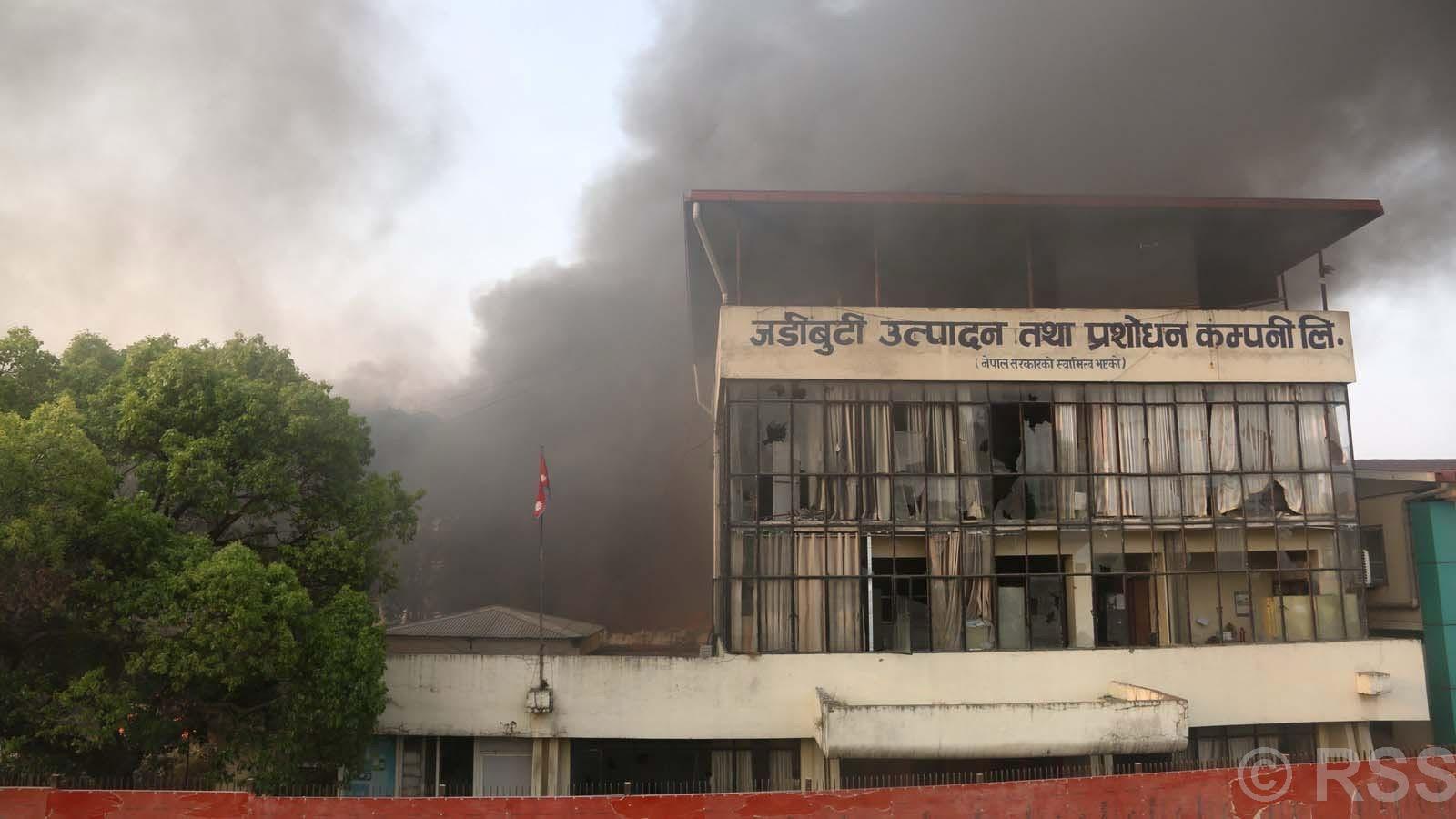 ‘जडीबुटी कम्पनी चाँडै बौरिने छ’